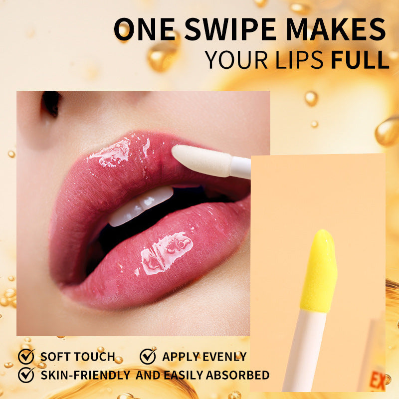 Lip Essential Oil Nourishing Moisturizing Full Lips Lip Care Oil